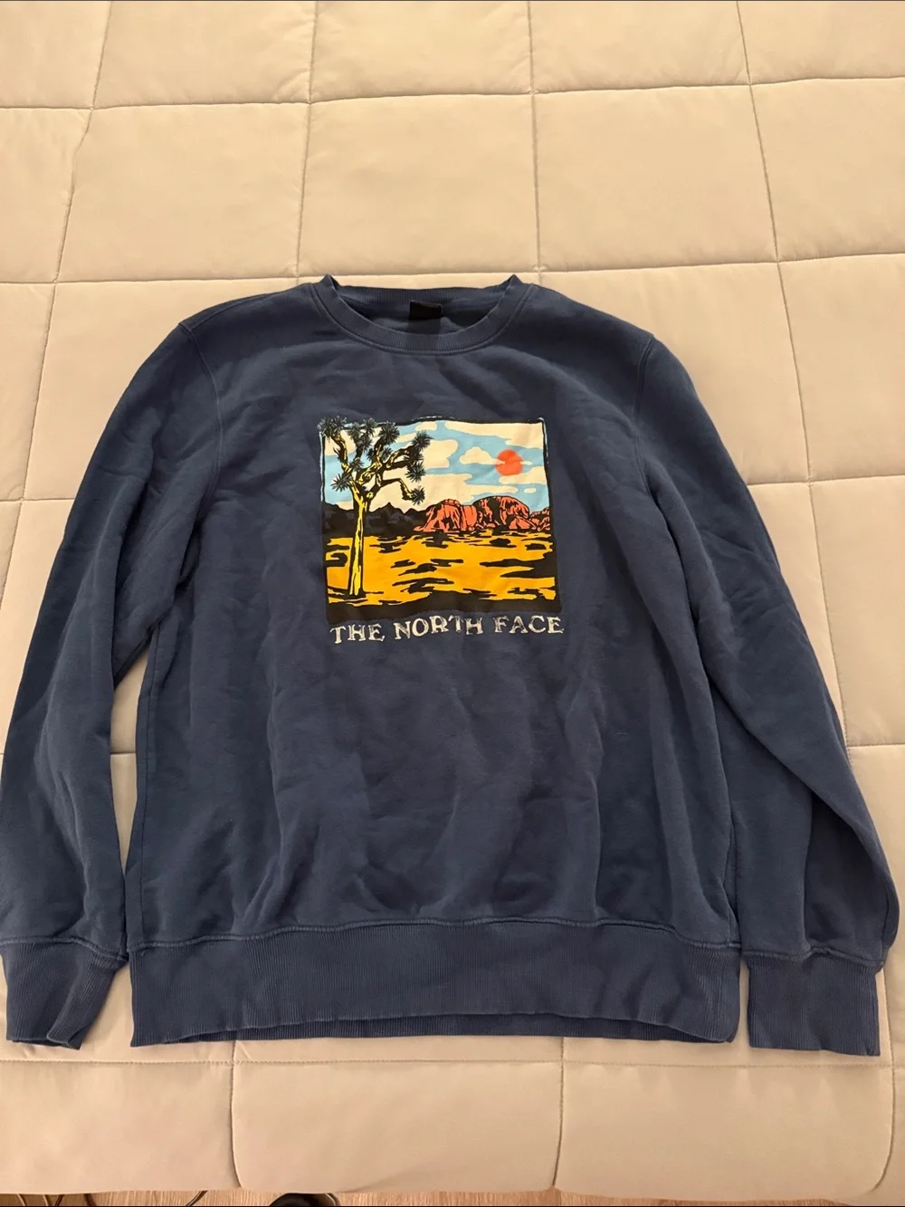 The North Face Blue Crewneck with Desert Landscape Graphic